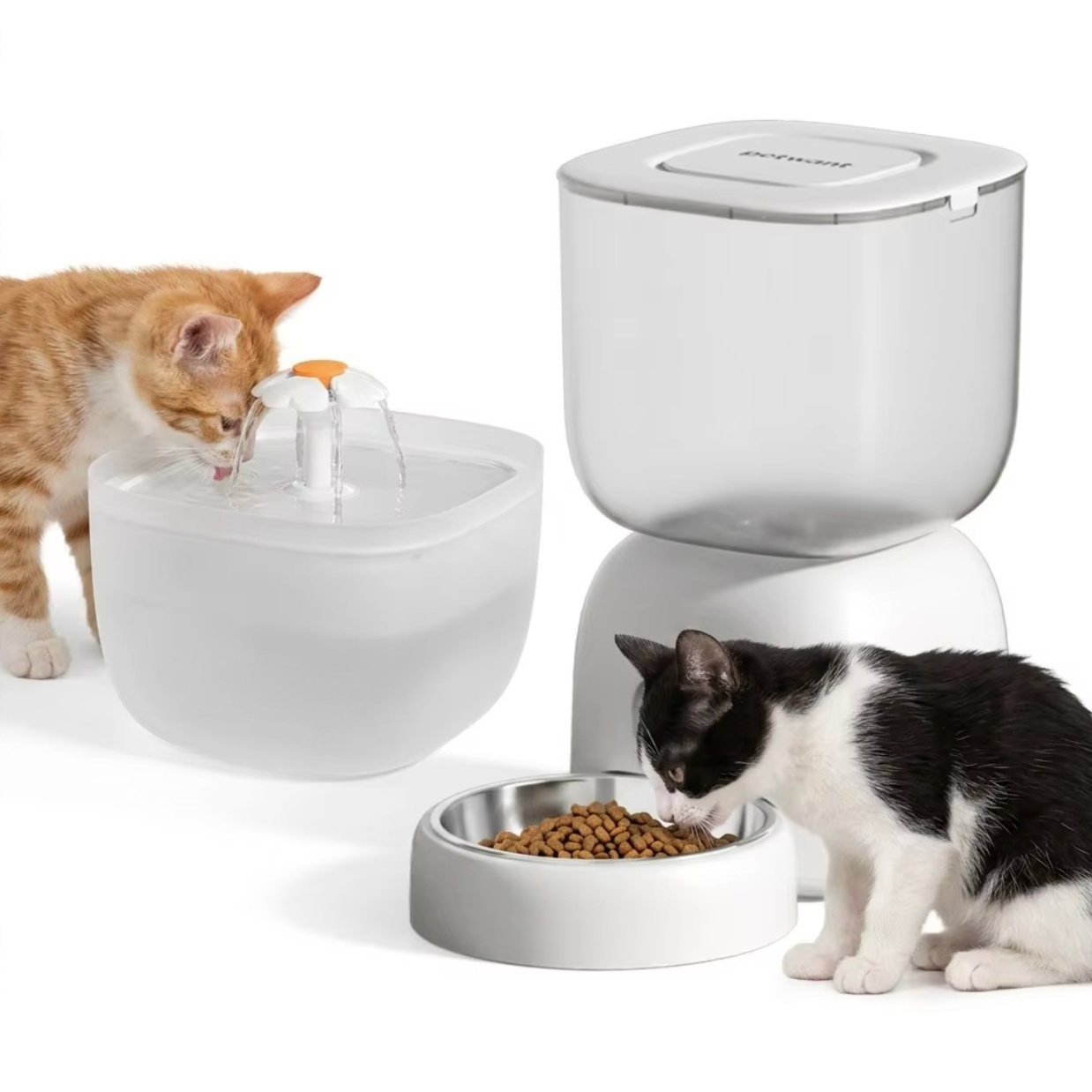 Smart Pet Water Fountain Wifi - Smart WiFi Automatic Pet Feeder and