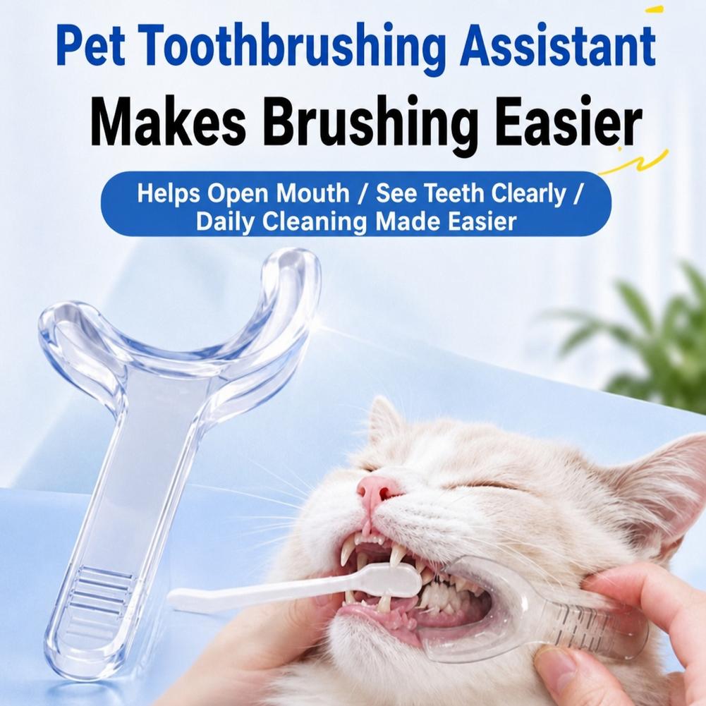 Universal Pet Mouth Opener Tee - Pet Fountain Cleaning Kit review and price