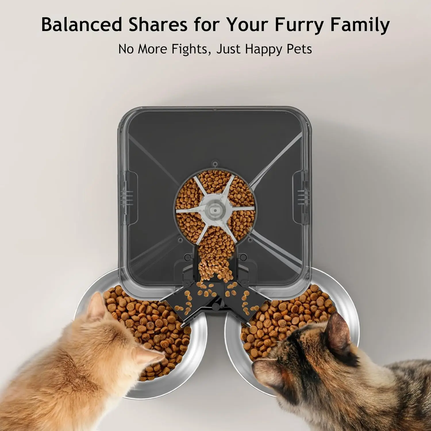 6L Automatic Cat Feeder for Tw - Automatic Cat Feeder 6L Timed review and price