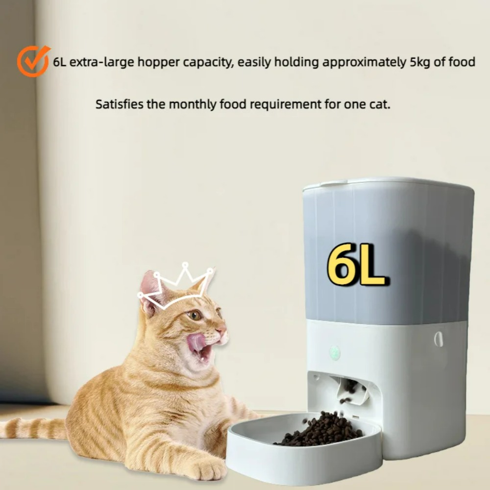 6L Automatic Timed Feeder Pet  - Automatic Cat Feeder 6L Timed review and price