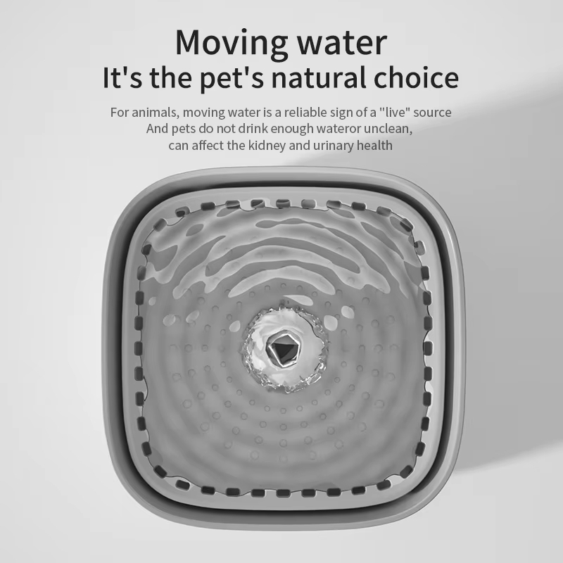 101oz/3L Pet Water Fountain Au - Automatic Cat Water Dispenser 3L review and price