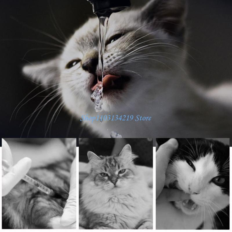 N5KC Pet Cats Water Fountain R - Pet Fountain Filter Replacement review and price