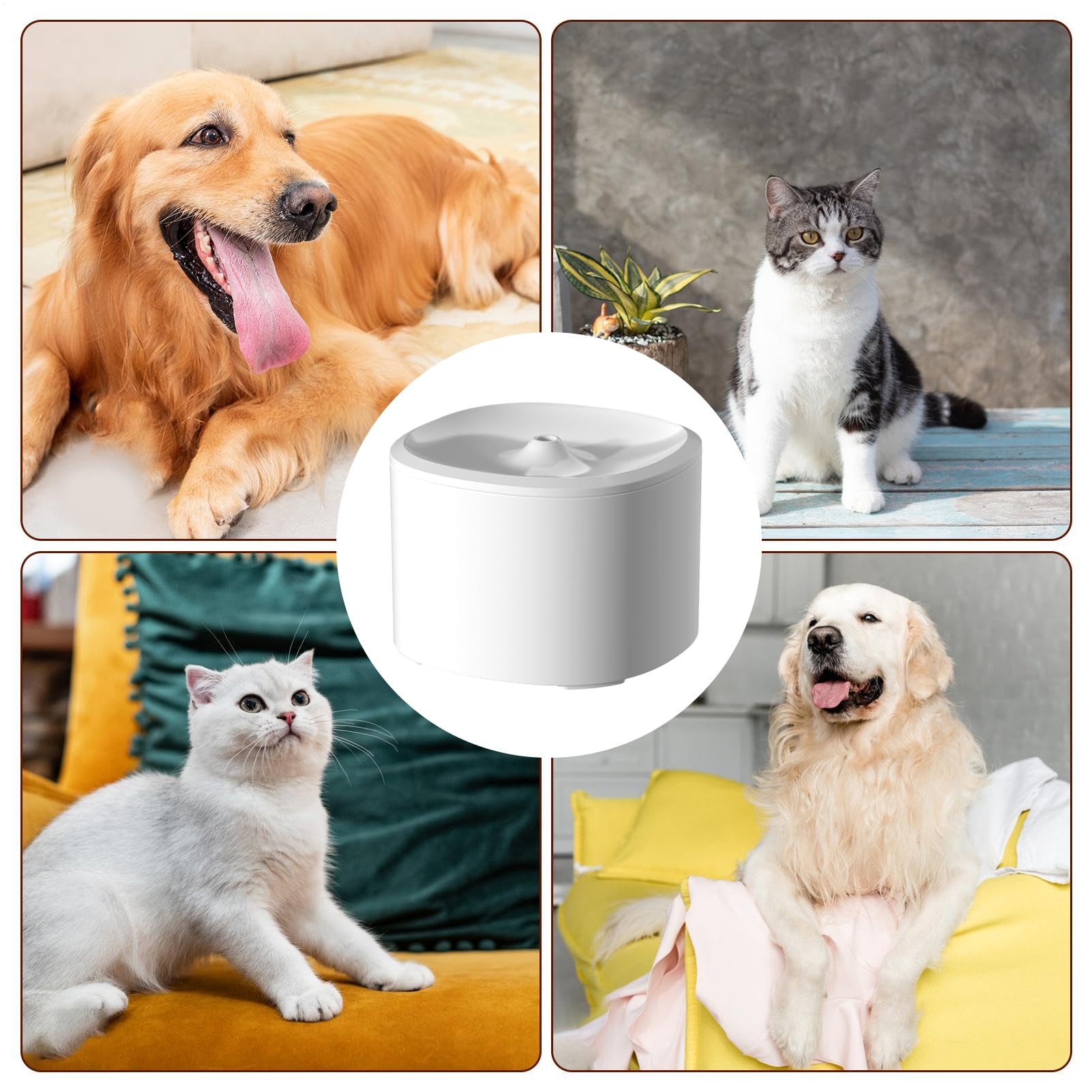 Cat Water Fountain | 3L Quiet  - Automatic Cat Water Dispenser 3L review and price