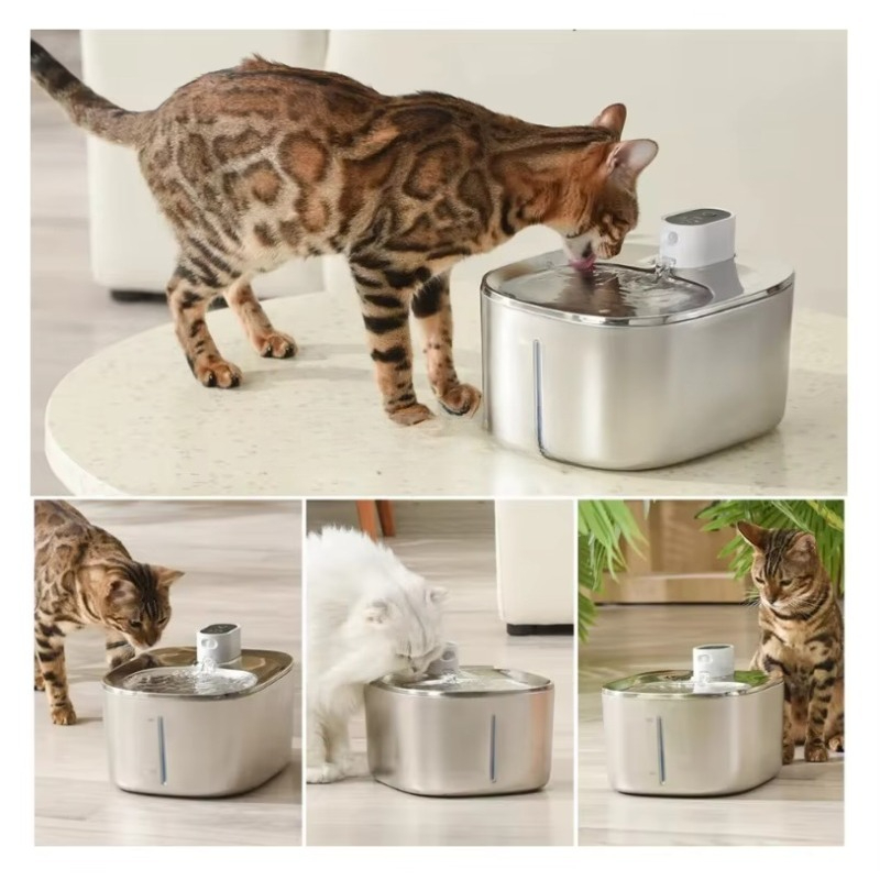 Stainless Steel Pet Water Bowl - Pet Water Fountain Stainless Steel review and price