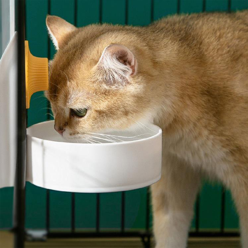 Large Capacity Cat Cage Hangin - Dog Water Fountain Large review and price