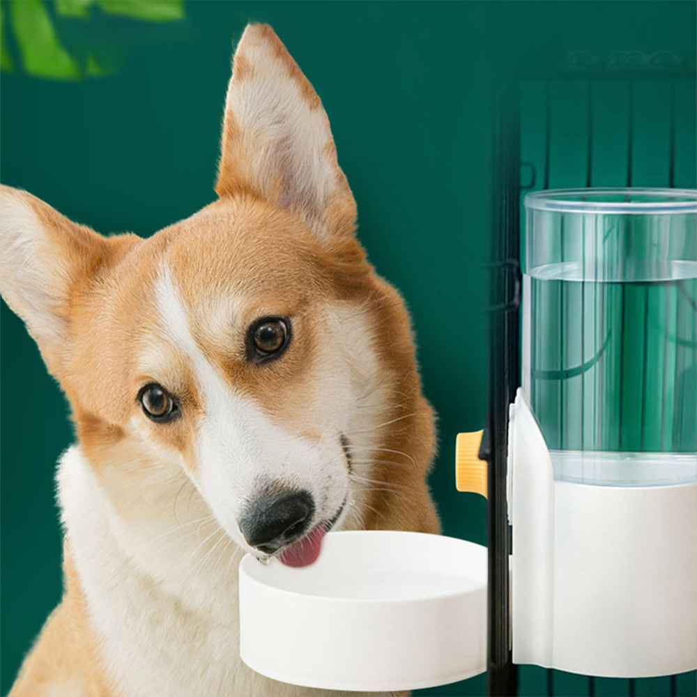 Large Capacity Cat Cage Hangin - Dog Water Fountain Large review and price