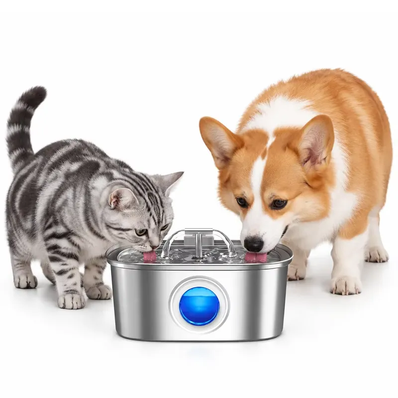 For 304 Stainless Steel 3.2L A - Pet Water Fountain Stainless Steel review and price
