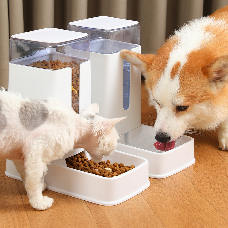 3.5L Auto Food Feeder Dispense - Dog Water Fountain Large review and price