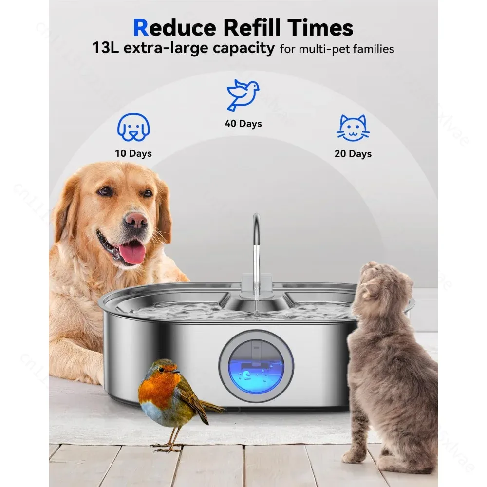 13L Stainless Steel Automatic  - Dog Water Fountain Large review and price