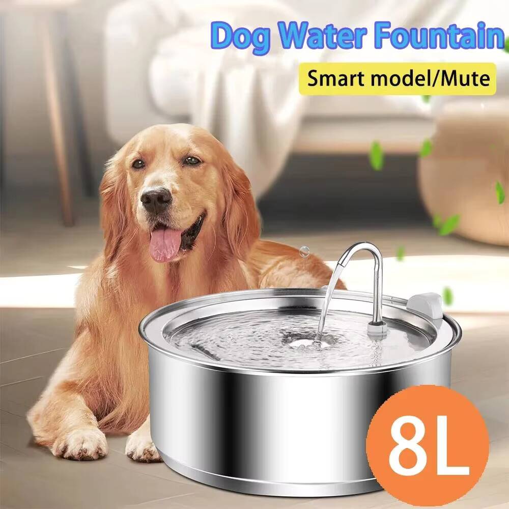 8L Dog Fountain Stainless Stee - Dog Water Fountain Large review and price