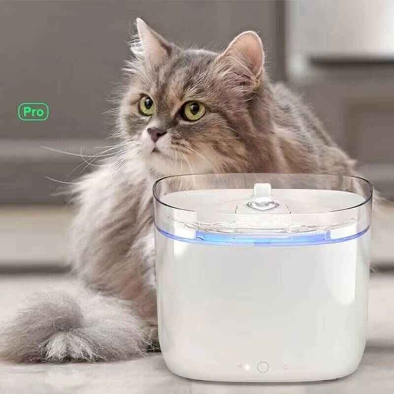3/6 Pcs Cat Replacement Activa - Pet Fountain Filter Replacement review and price