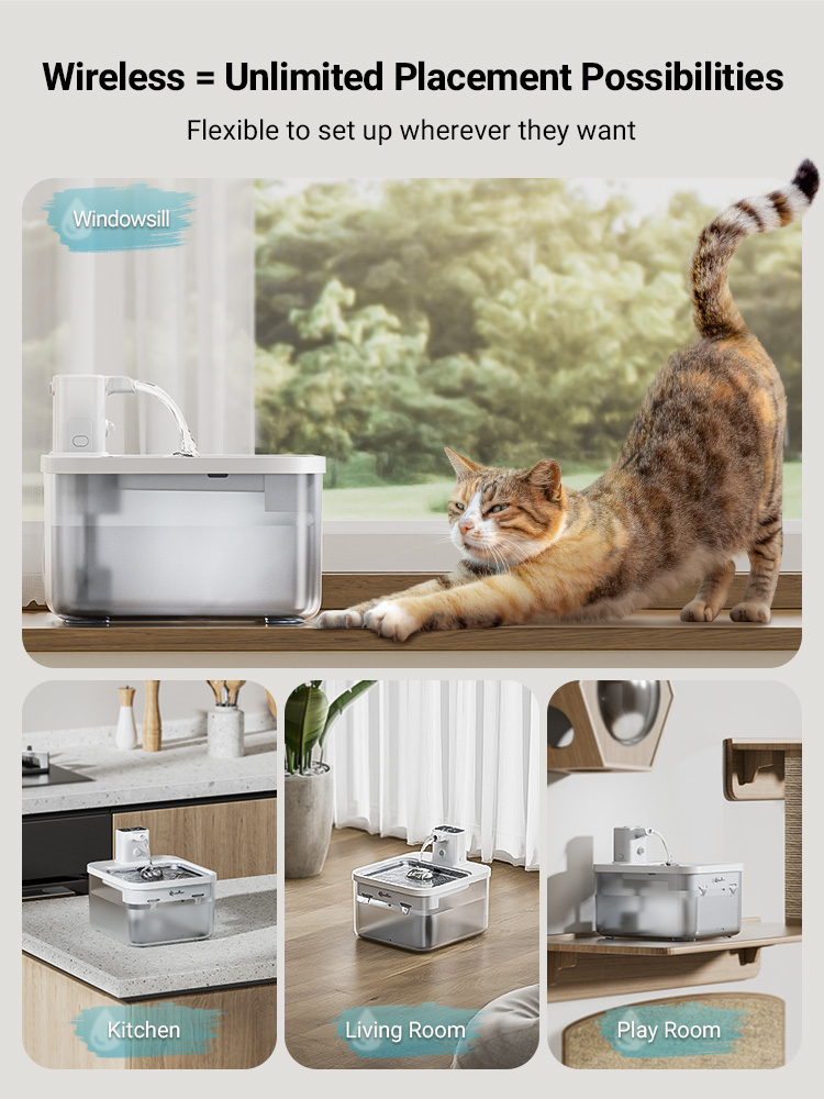 DownyPaws 2.5L Automatic Stain - Wireless Pet Water Fountain Battery review and price