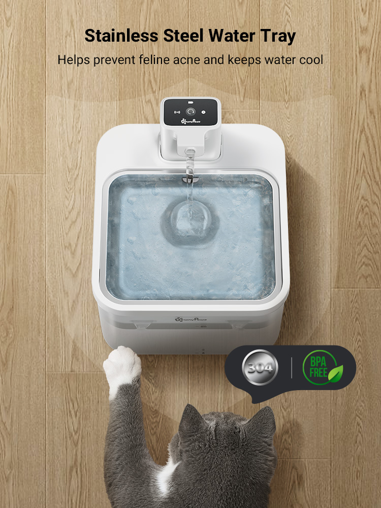 DownyPaws 2.5L Automatic Stain - Wireless Pet Water Fountain Battery review and price