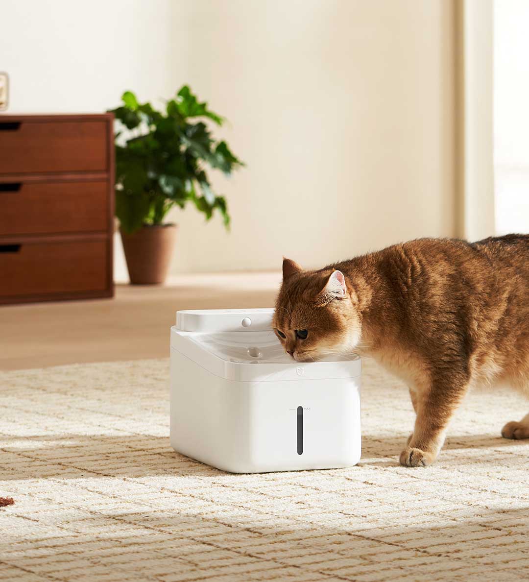 New MIJIA Smart Pet Drinking F - Smart Pet Water Fountain Wifi review and price