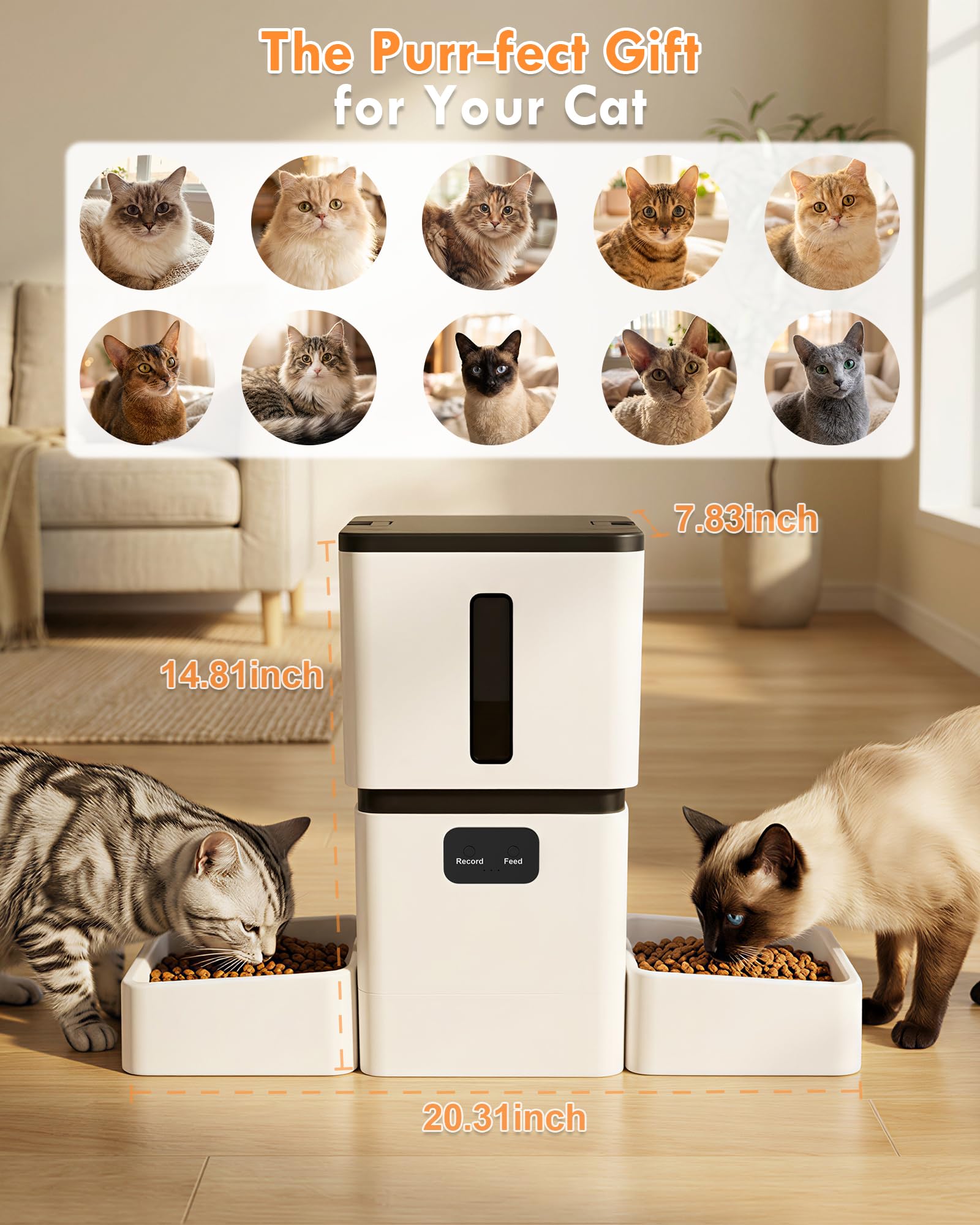 5GHz WiFi 8L Smart Automatic P - Smart Pet Feeder Camera Wifi review and price