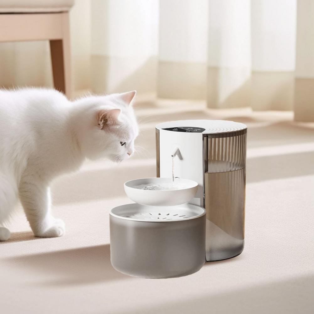 Capacity Pet Water Fountain Au - Automatic Cat Water Dispenser 3L review and price