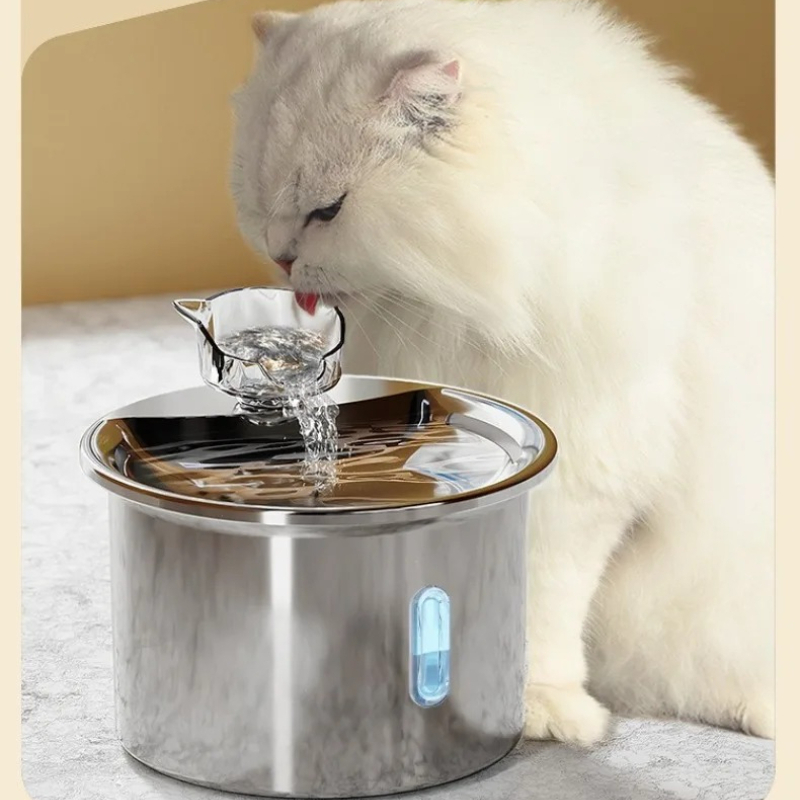 Cat Water Fountain Stainless S - Pet Water Fountain Stainless Steel review and price